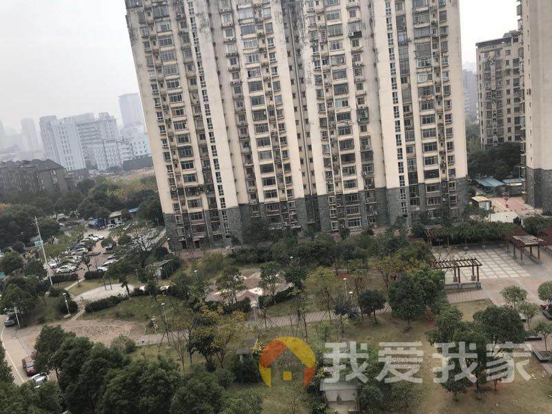 卫东花园,标准户型,阳光充足,交通便利