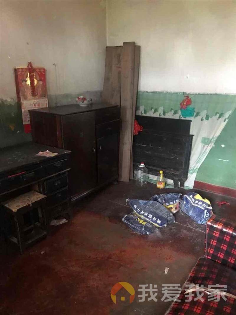 麻纺宿舍一区 南北通透，采光好 视野好，诚心出售
