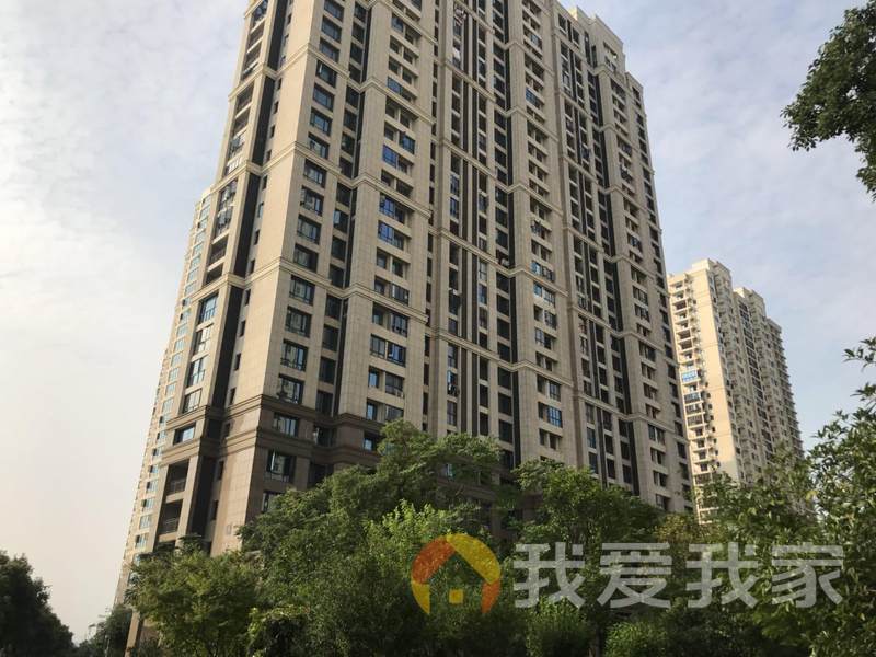 25m 毛坯 南北 2016年建 小区:城泰凡尔塞宫(君汇半岛) 区域:高新区