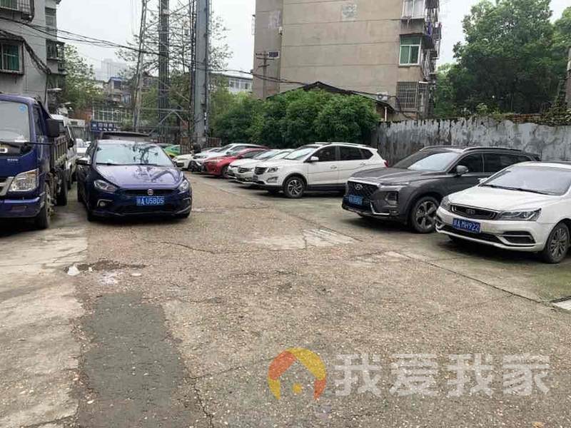 梧桐小区 南北通透，采光好 中间楼层