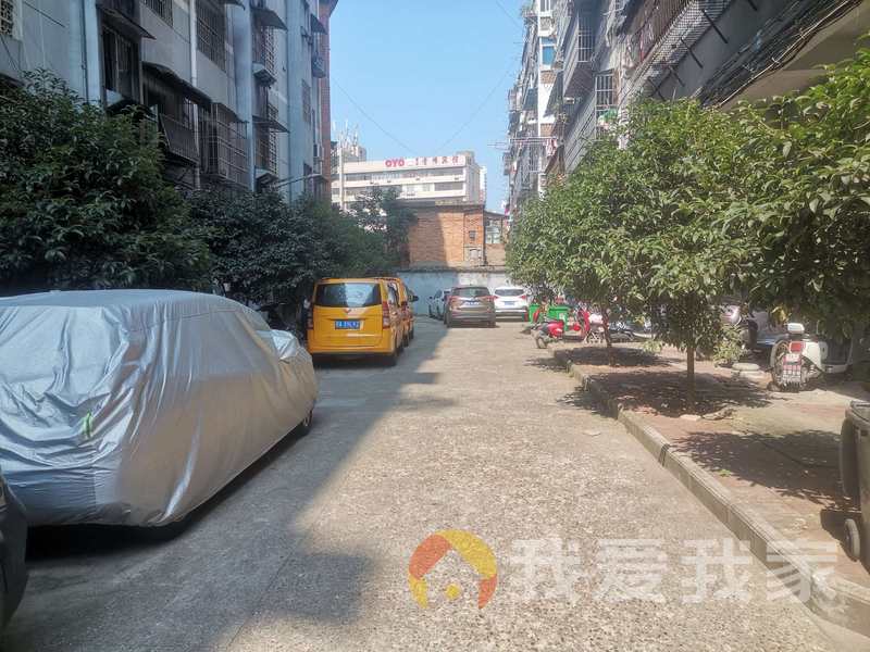 梧桐小区 南北通透，采光好 装修好，环镜优美