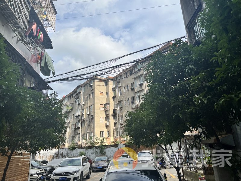 梧桐小区 南北通透，采光好 中间楼层