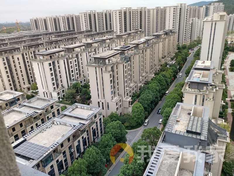 恒茂未来都会 南北通透，采光好 视野好，诚心出售