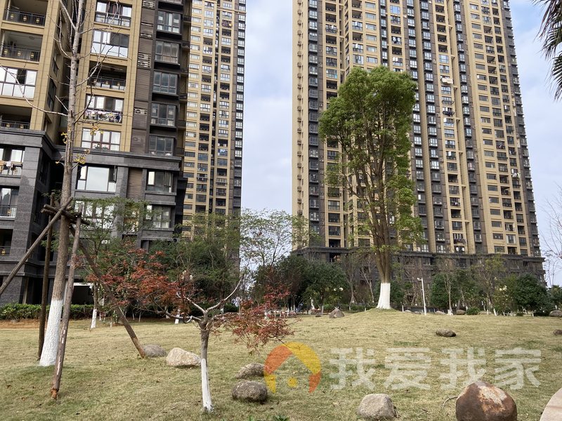 九龙湖花园一区 南北通透，采光好 近地铁 视野好，诚心出售