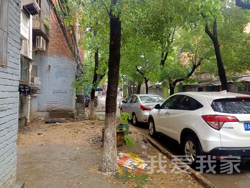 文教路 南北通透，采光好 视野好，诚心出售