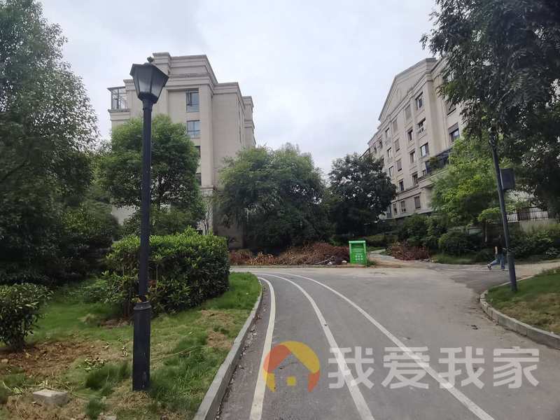 博泰生命树 洋房上下2层 带院子