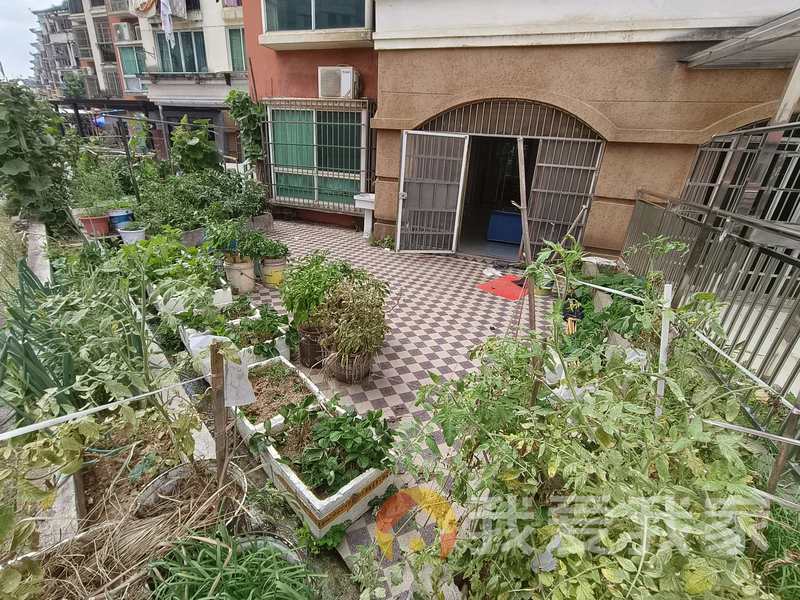 帝景湾洋城一期 南北通透，采光好 装修好，环镜优美 视野好，诚心出售