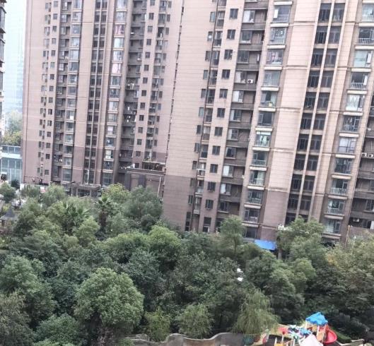 红谷滩红谷中大道怎么样南昌红谷滩红谷中大道房价房源地址户型图周边